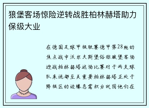 狼堡客场惊险逆转战胜柏林赫塔助力保级大业